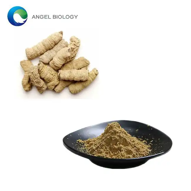 Morinda Root Extract